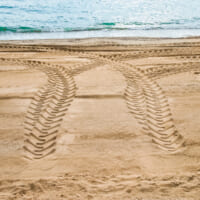 0608_pixta_15542520_M