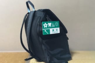 リュックとトラフィックン