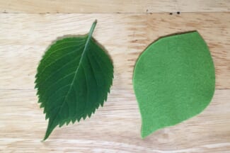 3_本物の葉っぱとフェルトの葉っぱ
