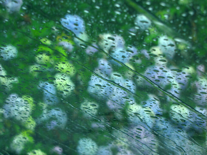 pixta_1493791_M