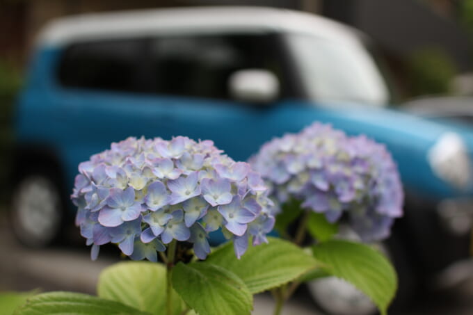 pixta_41516031_M