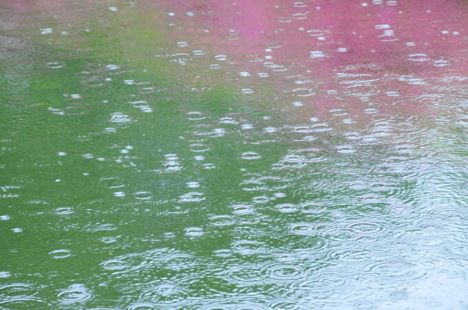 雨の日