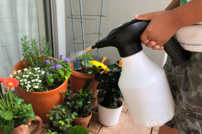 AB7news_Gardening
