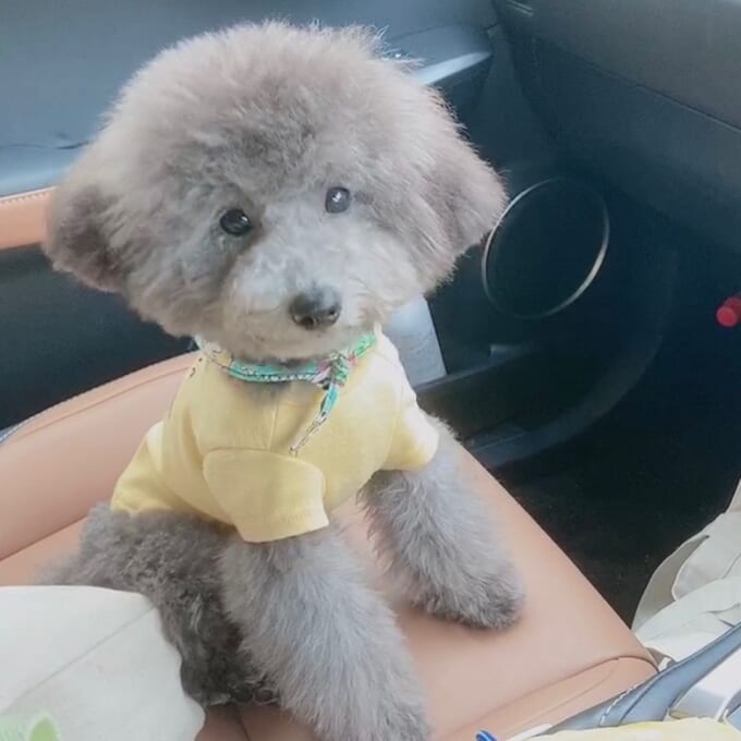 107081094_605522917026738_511558098255129997_n