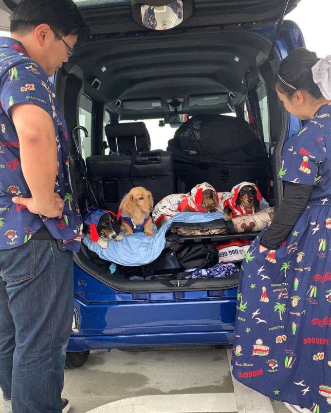 116898107_2894363637510469_6393464457989924381_n