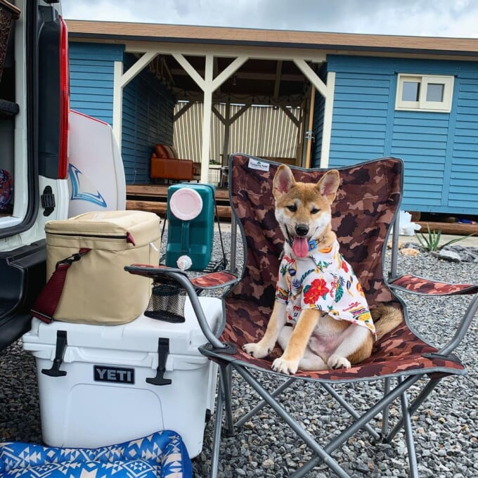 117066899_3307710879288830_7210136251782775947_n