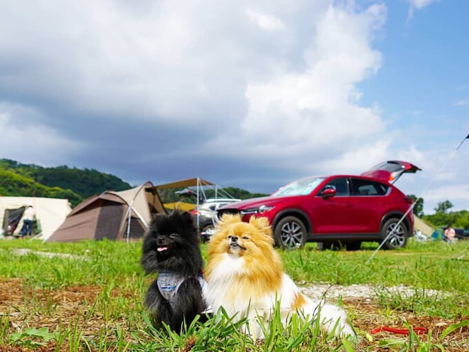 117191027_340927773609387_4241522189174696748_n