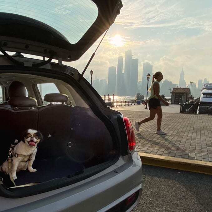 117372172_345868859770934_849776682613615493_n