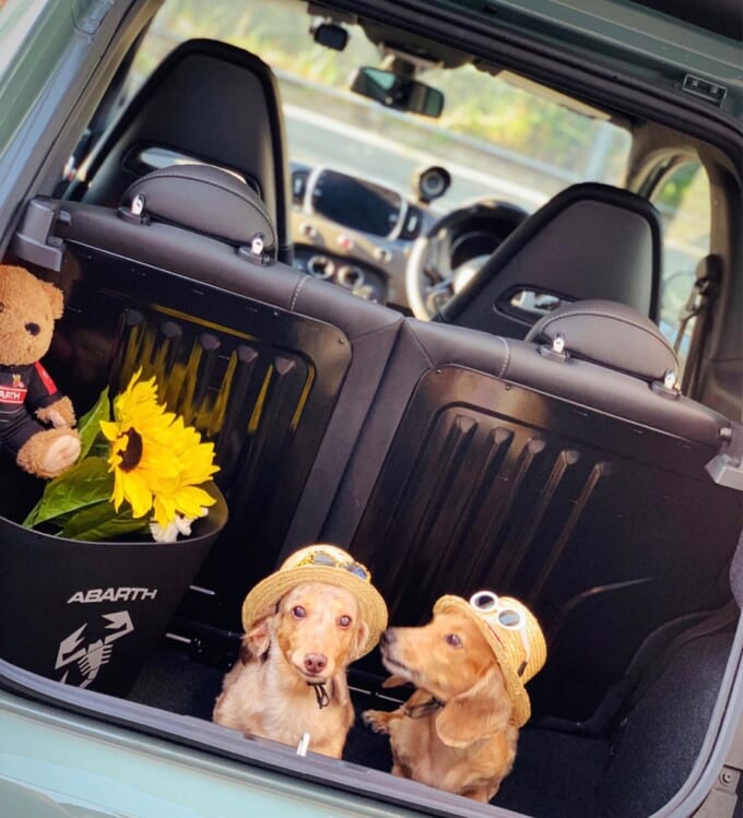 117517546_162173132162035_2244811796789226702_n