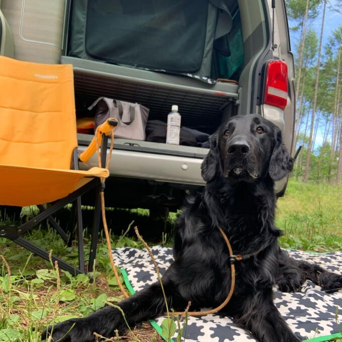 117591652_623648438590405_709278275375766041_n