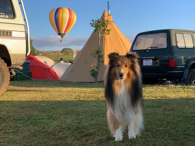 44253016_1413297572134951_5992189792439265939_n