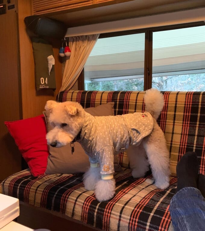 80595929_174497267257436_451715841335237736_n