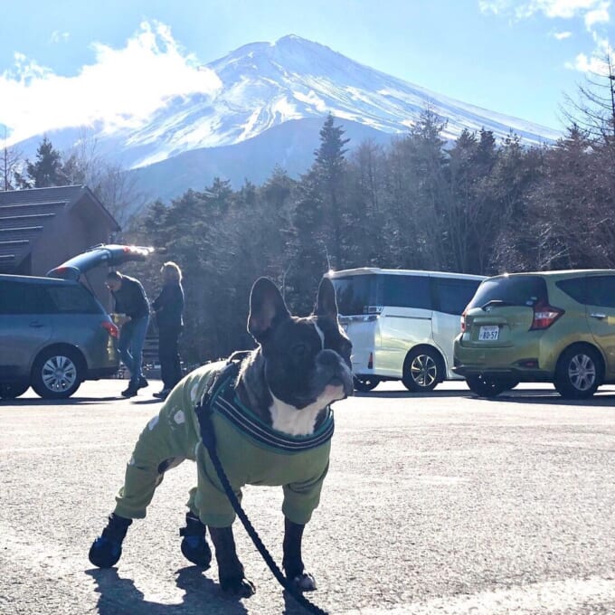 81515327_2934850219873184_6394404392481729149_n