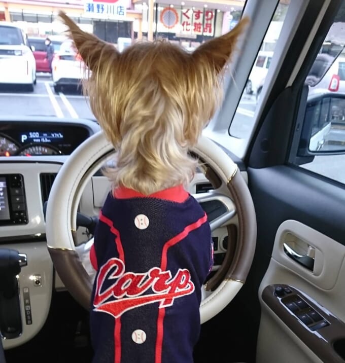 87694527_650749519018921_175143713715733666_n