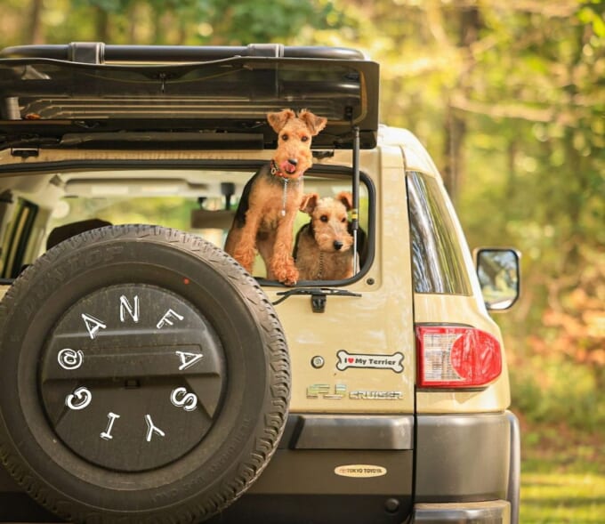 119949952_644614013156321_8902059179666308493_n