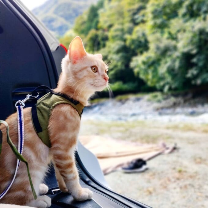 121104335_180113097017614_42005161197284735_n