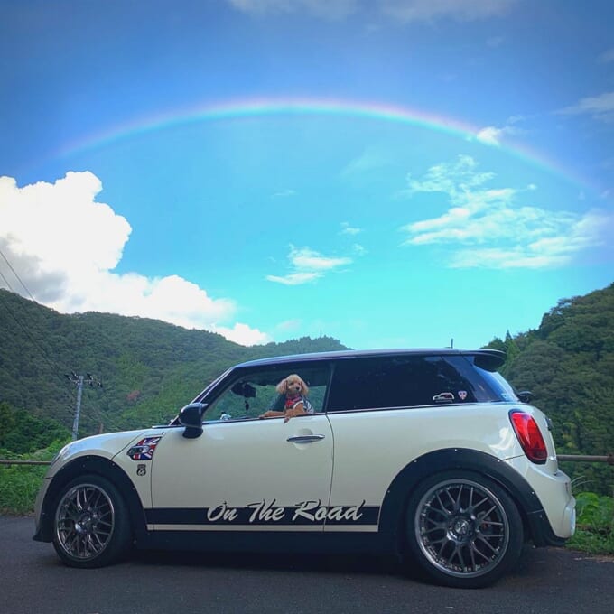 118825624_636450117244893_3678774099475859568_n