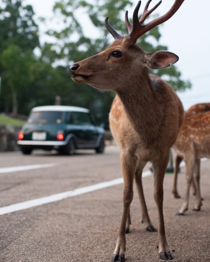 121609067_115583163508243_4388904710834522178_n