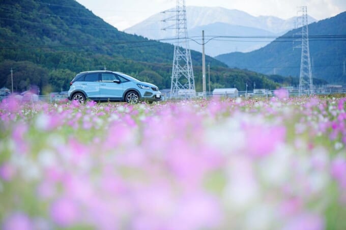 122577680_351021419339440_831643010908680390_n