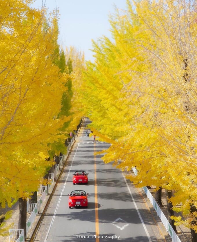 125225997_408418126995934_979071764795068931_n