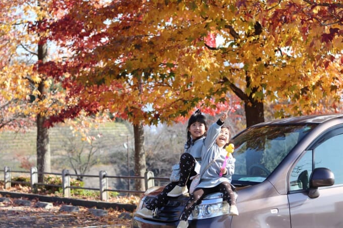 125244438_1686145274899750_2607917579376621409_n