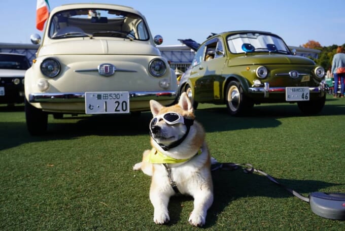 125570731_1654310628094114_3082270096691162493_n