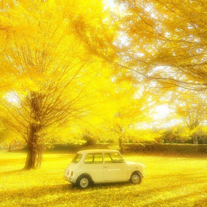 126501934_133910874837960_2452208012225686897_n