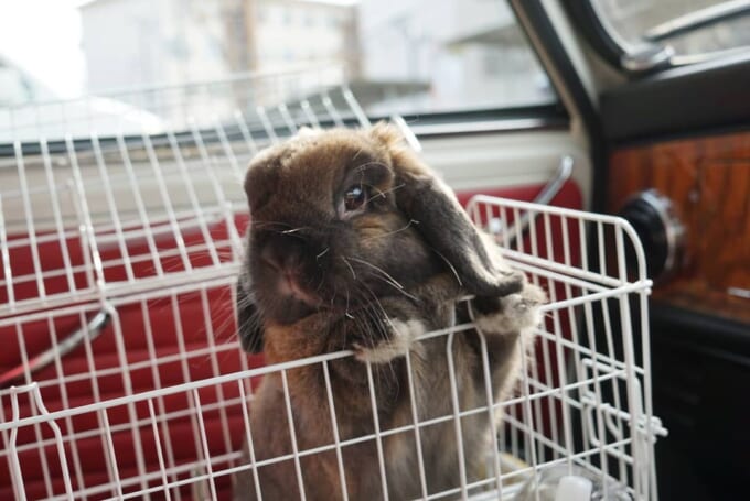 127759240_712809952684709_1696898475275276530_n