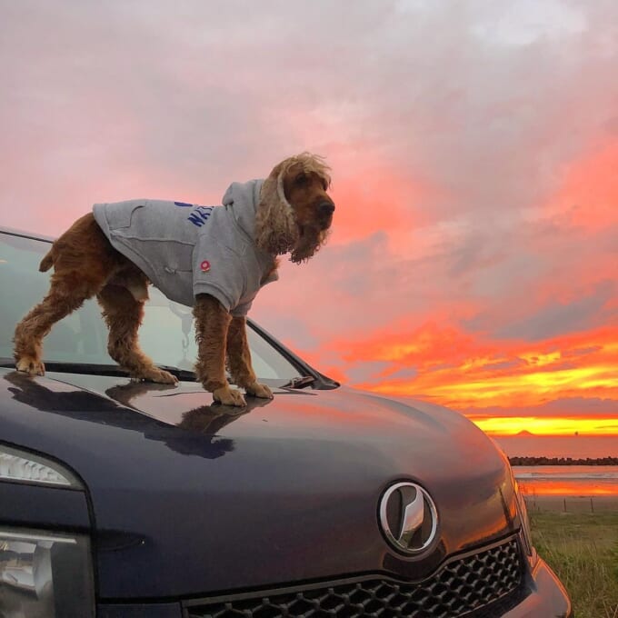 127811599_221970686115628_2019241310321111641_n