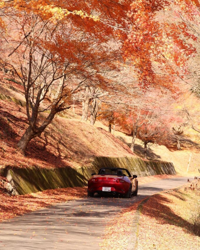 128644958_458939855073481_7488470252066461472_n