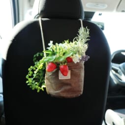 アレンジ 暮らしとくるま