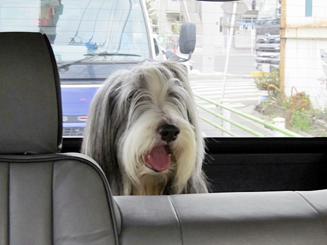 写真3