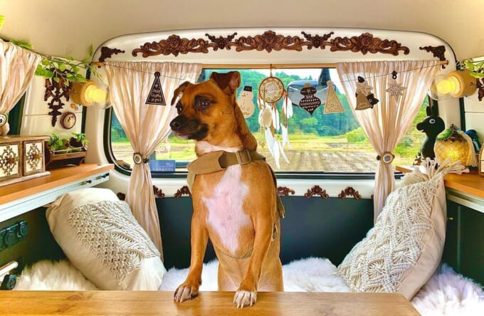 01_maaaaaaa127さん