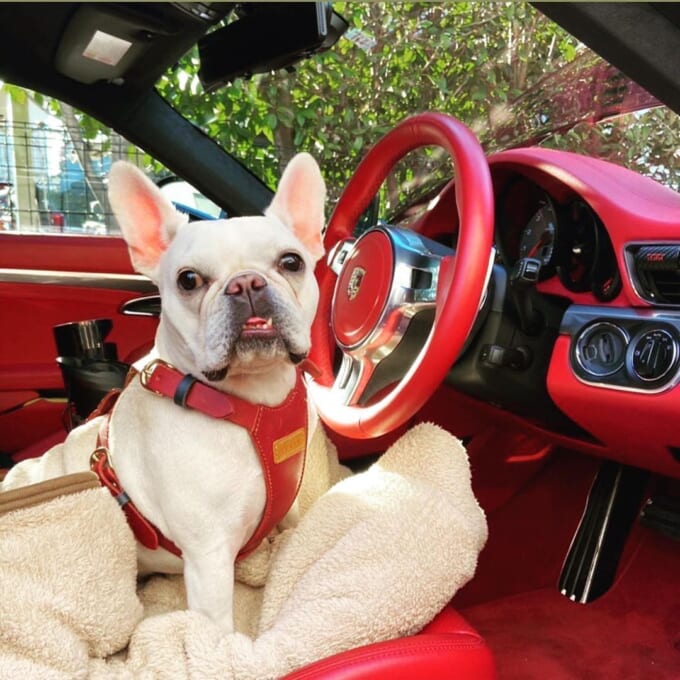 05_puripuri_purin0221さん