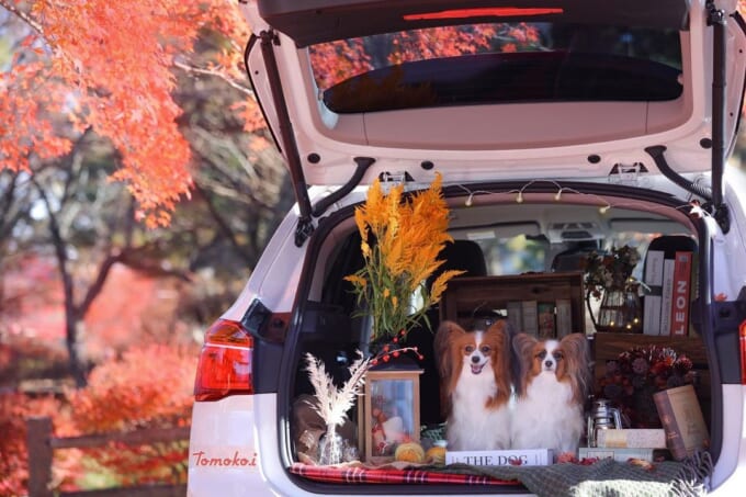 06_tomo_yuisayaさん