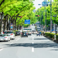 pixta_50316814_M