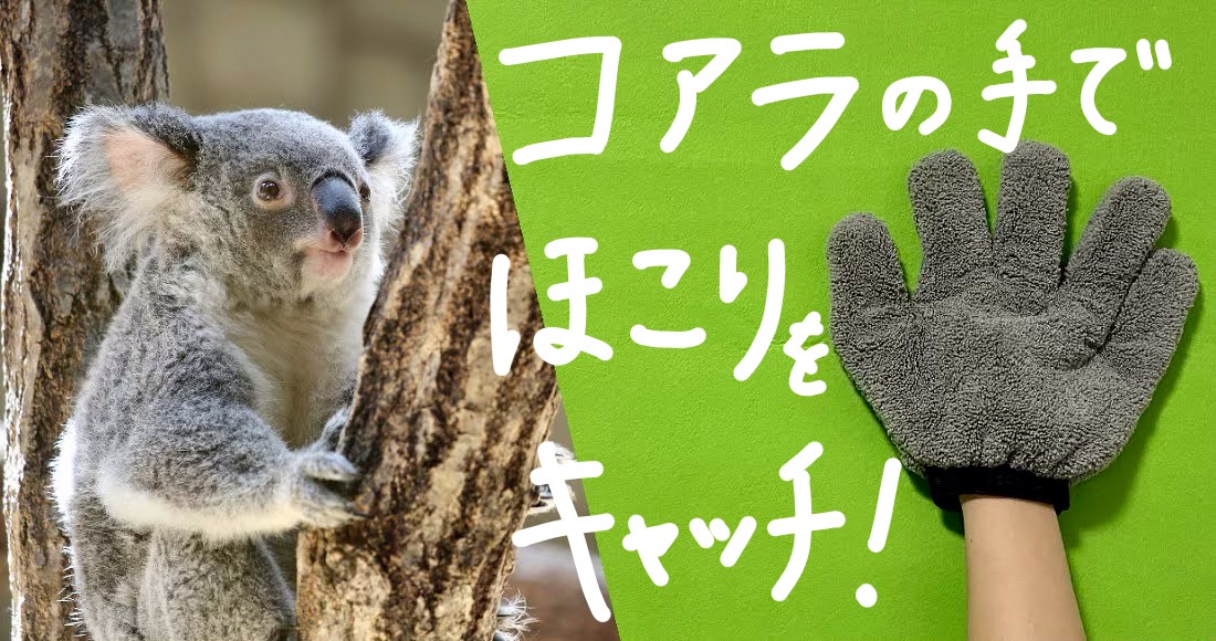 コアラの手【アイキャッチ画像】.jpg