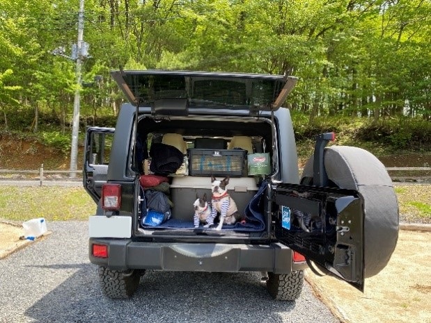 JEEP_犬_全景