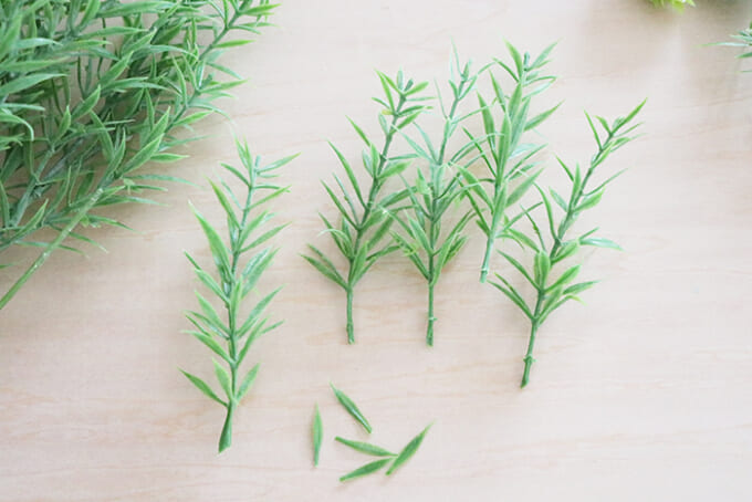 04葉っぱを少しとる