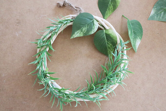 08大きな葉っぱをつける