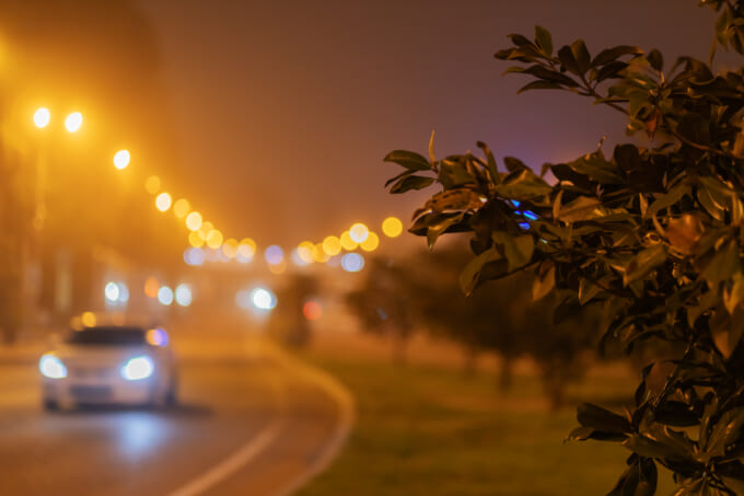 Blurred night road in fog. Green foliage on the background of a blurred road.