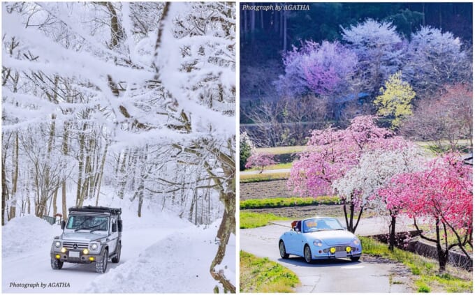 写真3