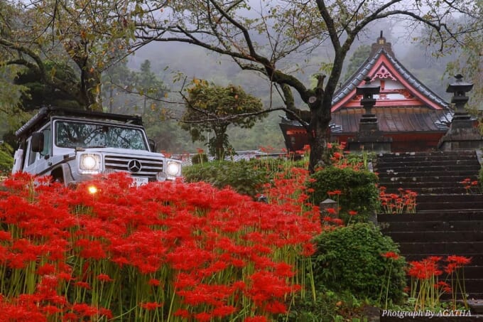 写真4