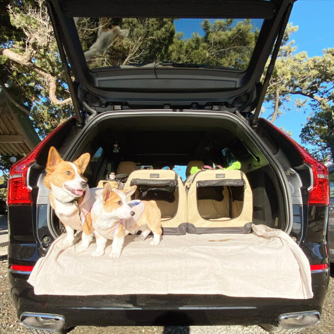 04_2 のコピー