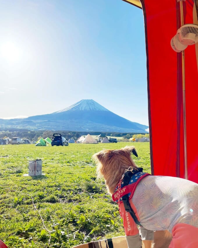 写真10