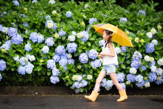 pixta_66903713_M