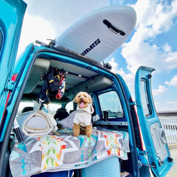 写真14