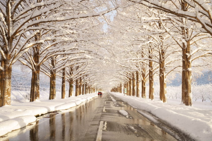 pixta_98697463_M