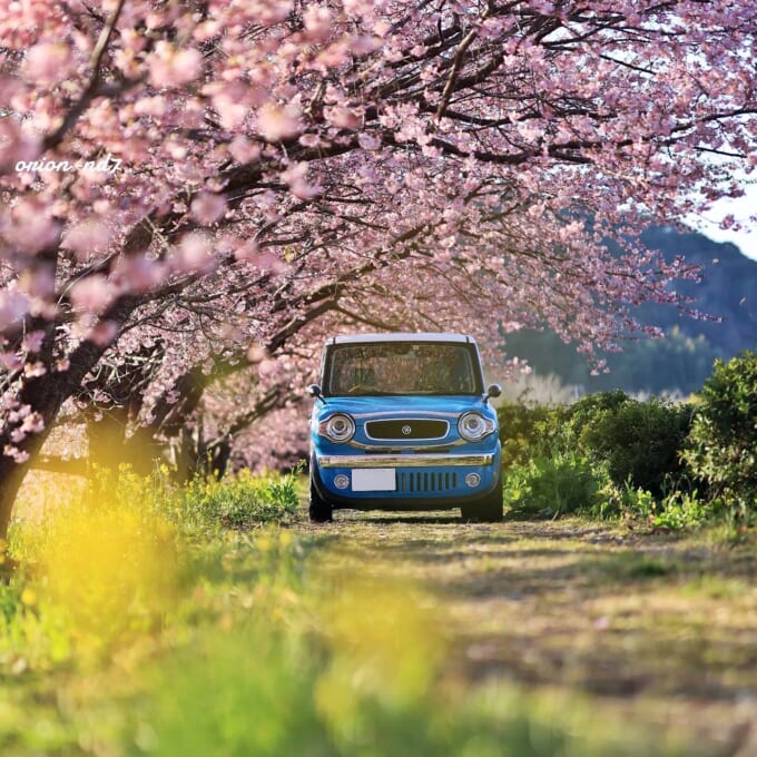 写真14