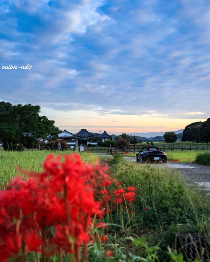写真5